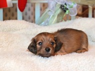 2024-11-23 00.21.10-2