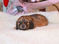 2024-11-23 02.28.06-2