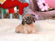 2024-11-23 02.29.16-2 2024-11-23 02.29.16-2