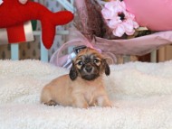 2024-11-23 02.29.20 2024-11-23 02.29.20