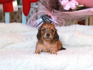 2024-11-23 02.30.04-2