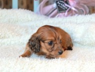 2024-11-23 02.30.16-2