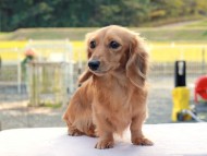 2024-11-23 02.51.58-1