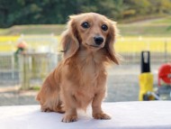 2024-11-23 02.52.00-2