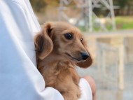 2024-11-23 02.52.29-1