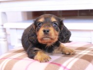 2025-01-02 01.33.28-2