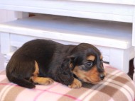 2025-01-02 01.36.20-2