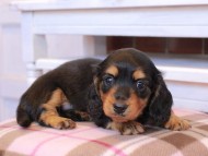 2025-01-02 01.36.38-2