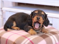 2025-01-02 01.37.14-2