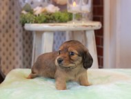 2025-01-04 02.06.59 2025-01-04 02.06.59