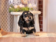 2025-01-04 02.13.18 2025-01-04 02.13.18