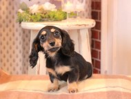 2025-01-04 02.14.44-1 2025-01-04 02.14.44-1