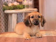 2025-01-04 02.17.52-2