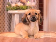 2025-01-04 02.17.56-1 2025-01-04 02.17.56-1