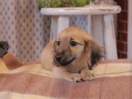 2025-01-04 02.18.12-3