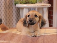 2025-01-04 02.18.16-1