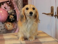 2025-01-04 02.24.58-2