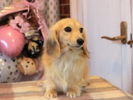 2025-01-04 02.25.00-2 2025-01-04 02.25.00-2