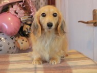 2025-01-04 02.25.07 2025-01-04 02.25.07