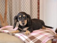 2025-01-21 02.23.07-2