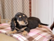 2025-01-21 02.23.27-1 2025-01-21 02.23.27-1