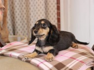 2025-01-21 02.23.54 2025-01-21 02.23.54