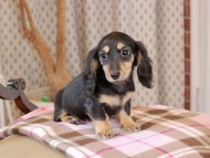 2025-01-21 02.24.20-2 2025-01-21 02.24.20-2