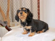 2025-01-21 02.25.37-1