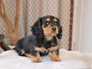 2025-01-21 02.25.57-2