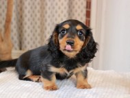 2025-01-21 02.26.09-2