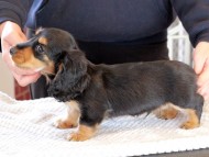 2025-01-21 02.27.30 2025-01-21 02.27.30