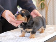 2025-01-21 02.27.39-3