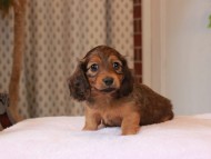 2025-01-21 02.29.54-3