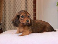 2025-01-21 02.30.09-1