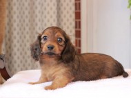 2025-01-21 02.30.12-1