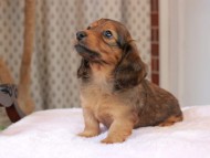 2025-01-21 02.30.48-2