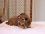 2025-01-21 02.31.18-1