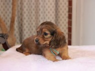 2025-01-21 02.31.18-2