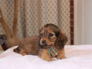 2025-01-21 02.31.21-2