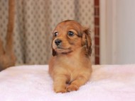 2025-01-21 02.31.44-1 2025-01-21 02.31.44-1