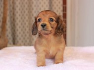 2025-01-21 02.31.46-1