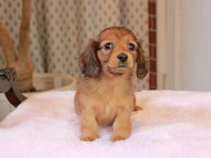 2025-01-21 02.31.55-1