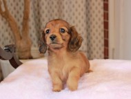 2025-01-21 02.31.55-3 2025-01-21 02.31.55-3