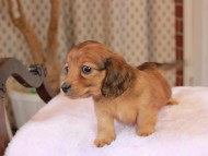 2025-01-21 02.32.06-3