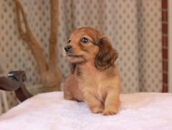 2025-01-21 02.32.12-1 2025-01-21 02.32.12-1