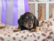 2025-01-21 02.59.35-2 2025-01-21 02.59.35-2