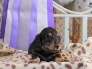 2025-01-21 02.59.46-1