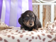 2025-01-21 03.00.22-2