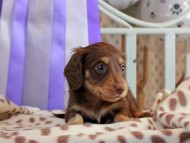 2025-01-21 03.01.00-1