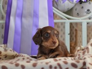 2025-01-21 03.01.12-2